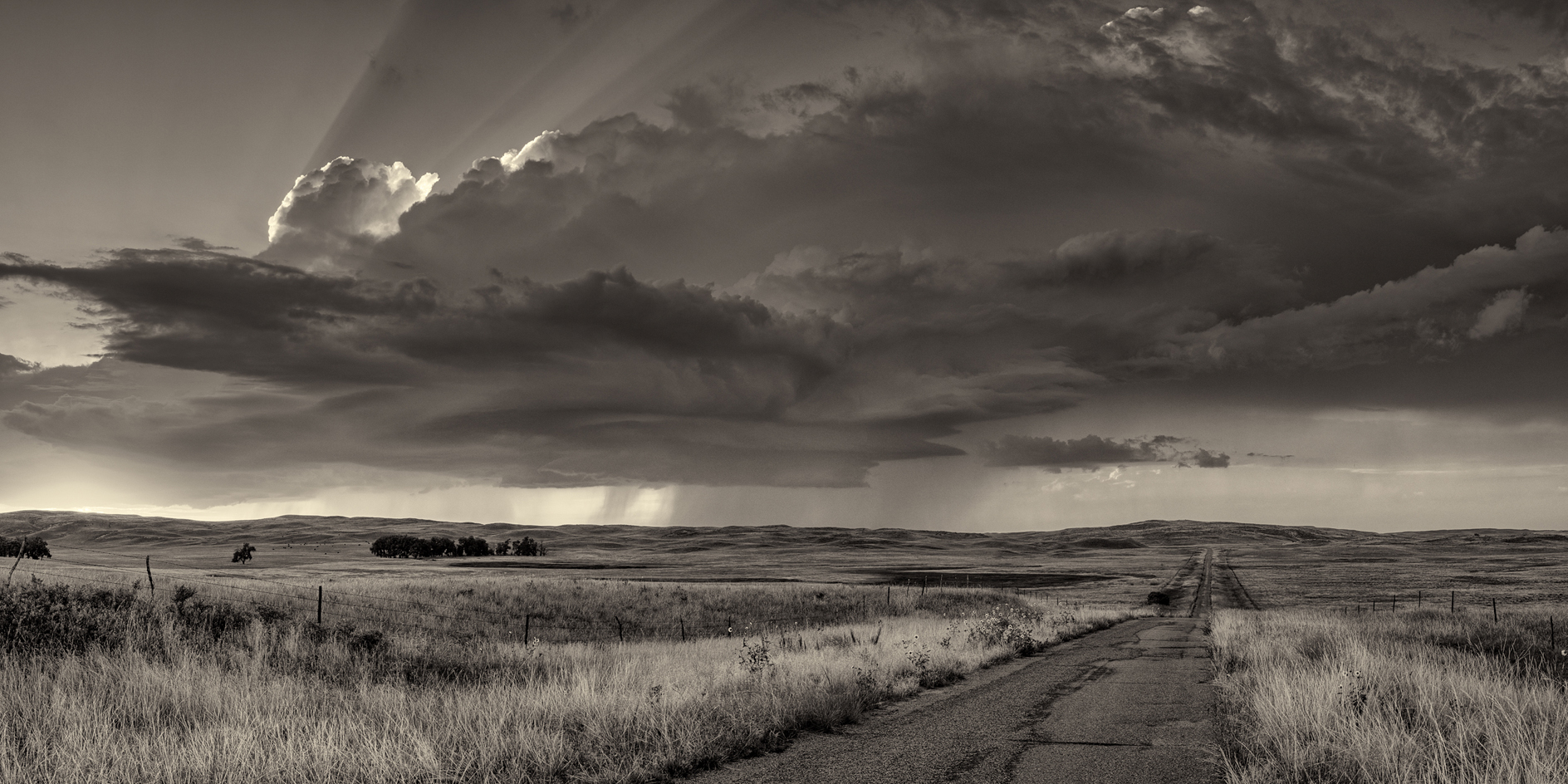 Somewhere North of Whitman VI