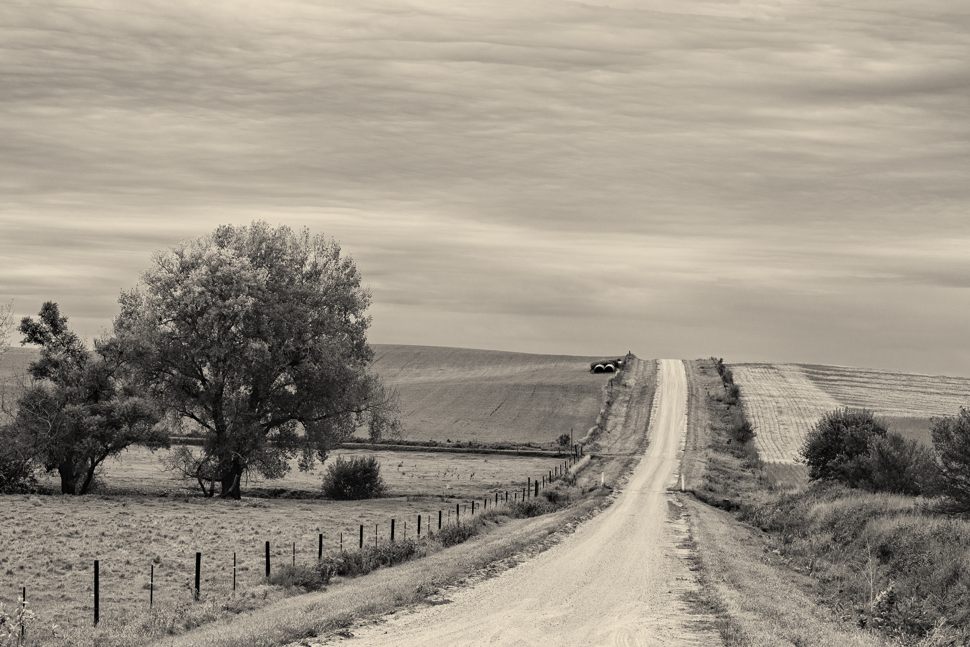 Soon the Leaves Will Fall