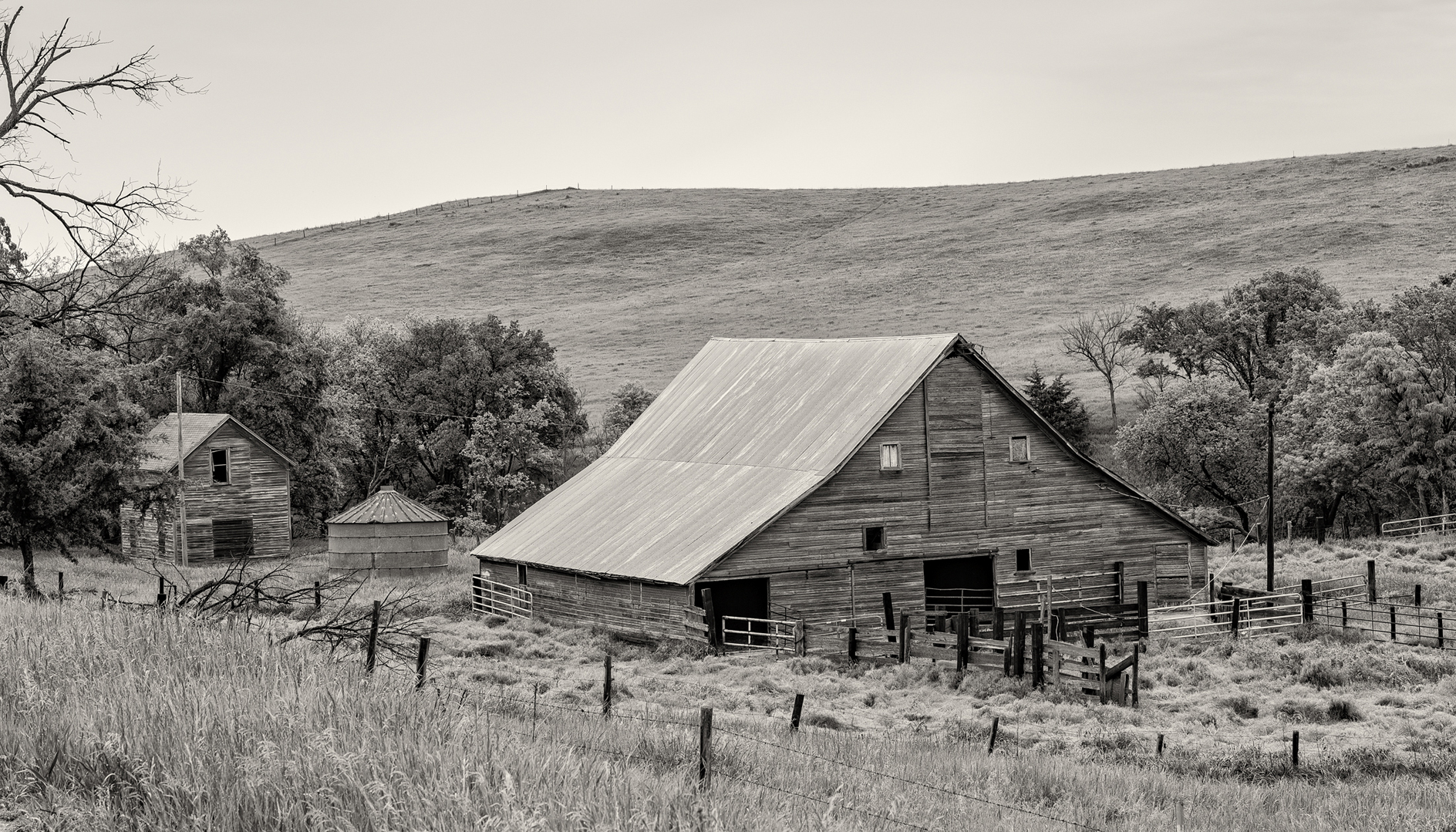 Springtime Along the Creek II