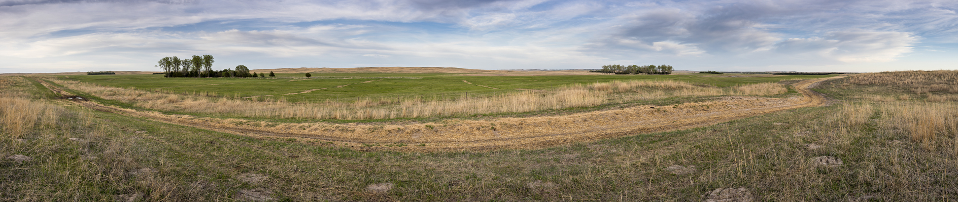 Springtime at the Ranch