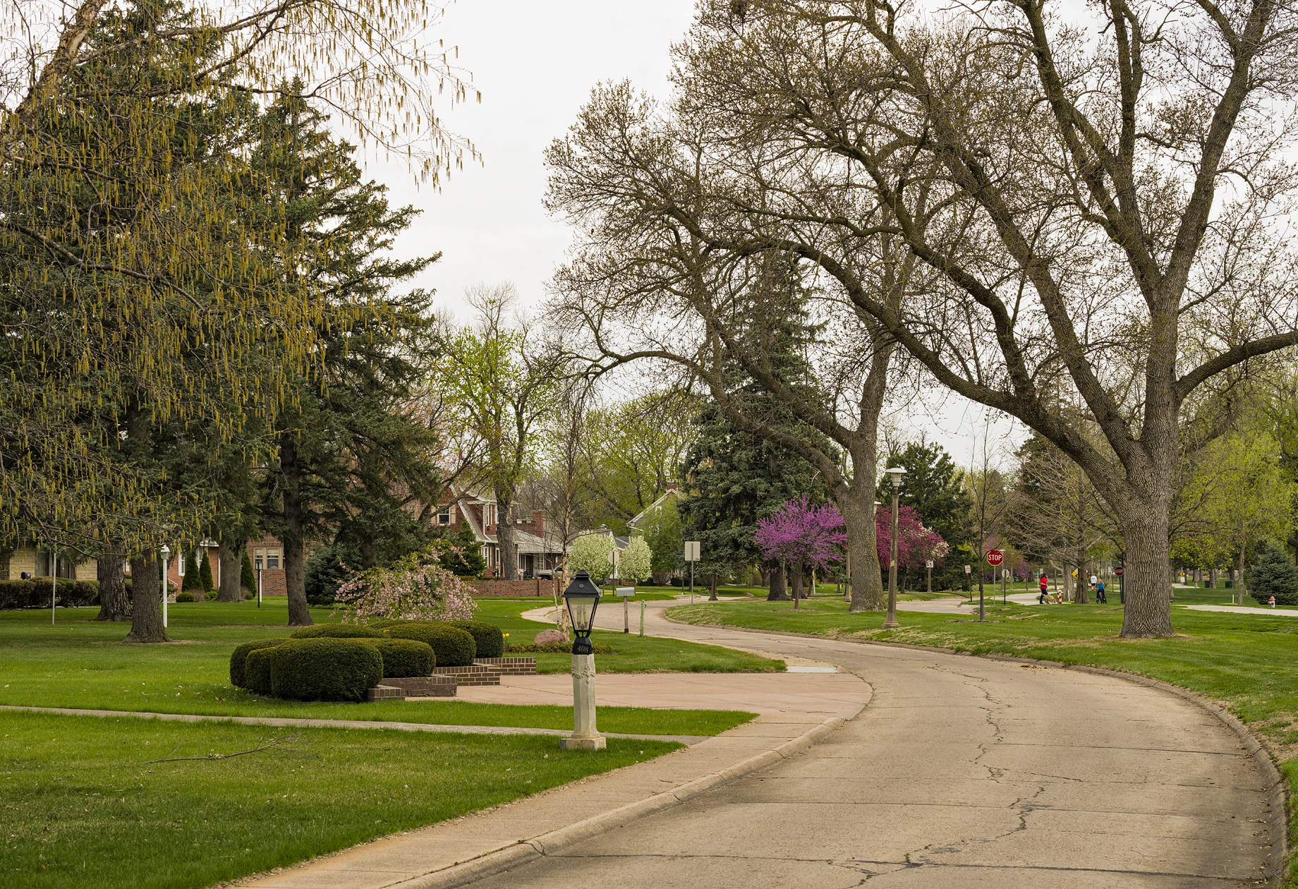 Springtime in the City