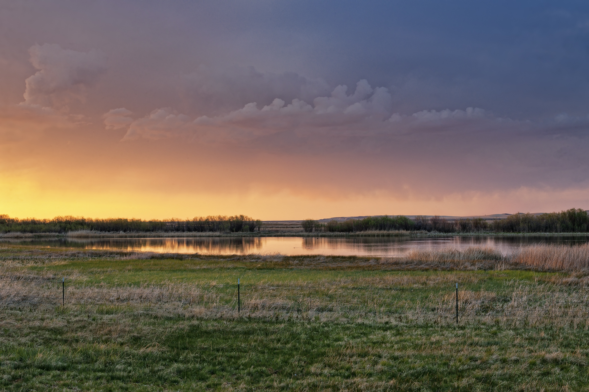 Springtime on the Refuge