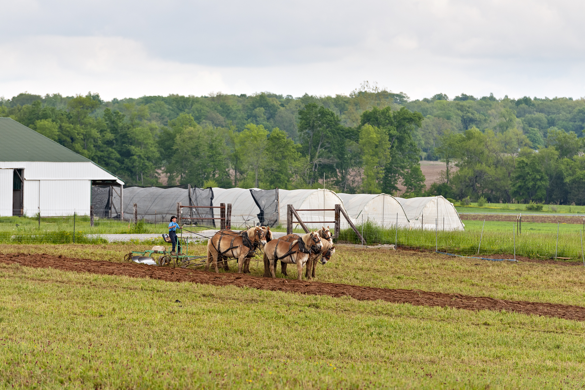 Staying Connected II