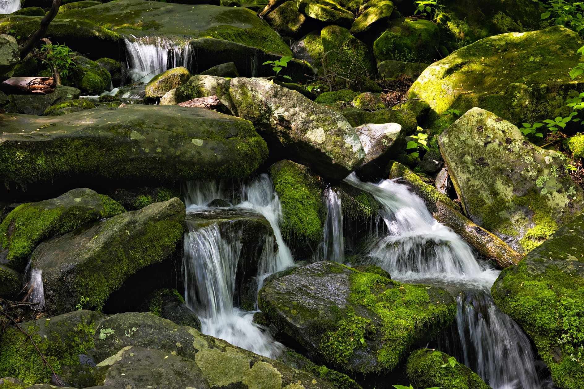 Stepping Down the Mountain