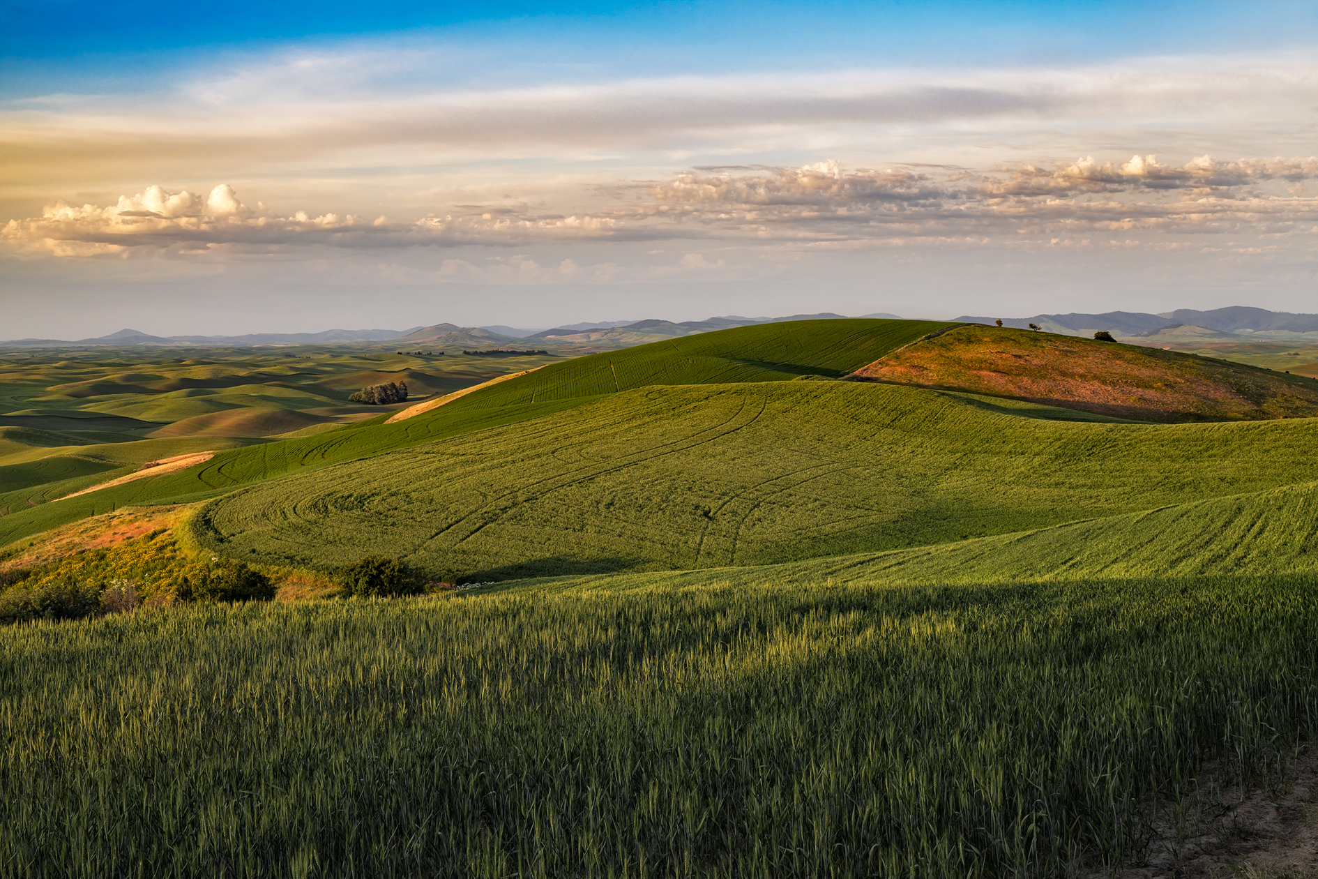 Steptoe Butte Evening II