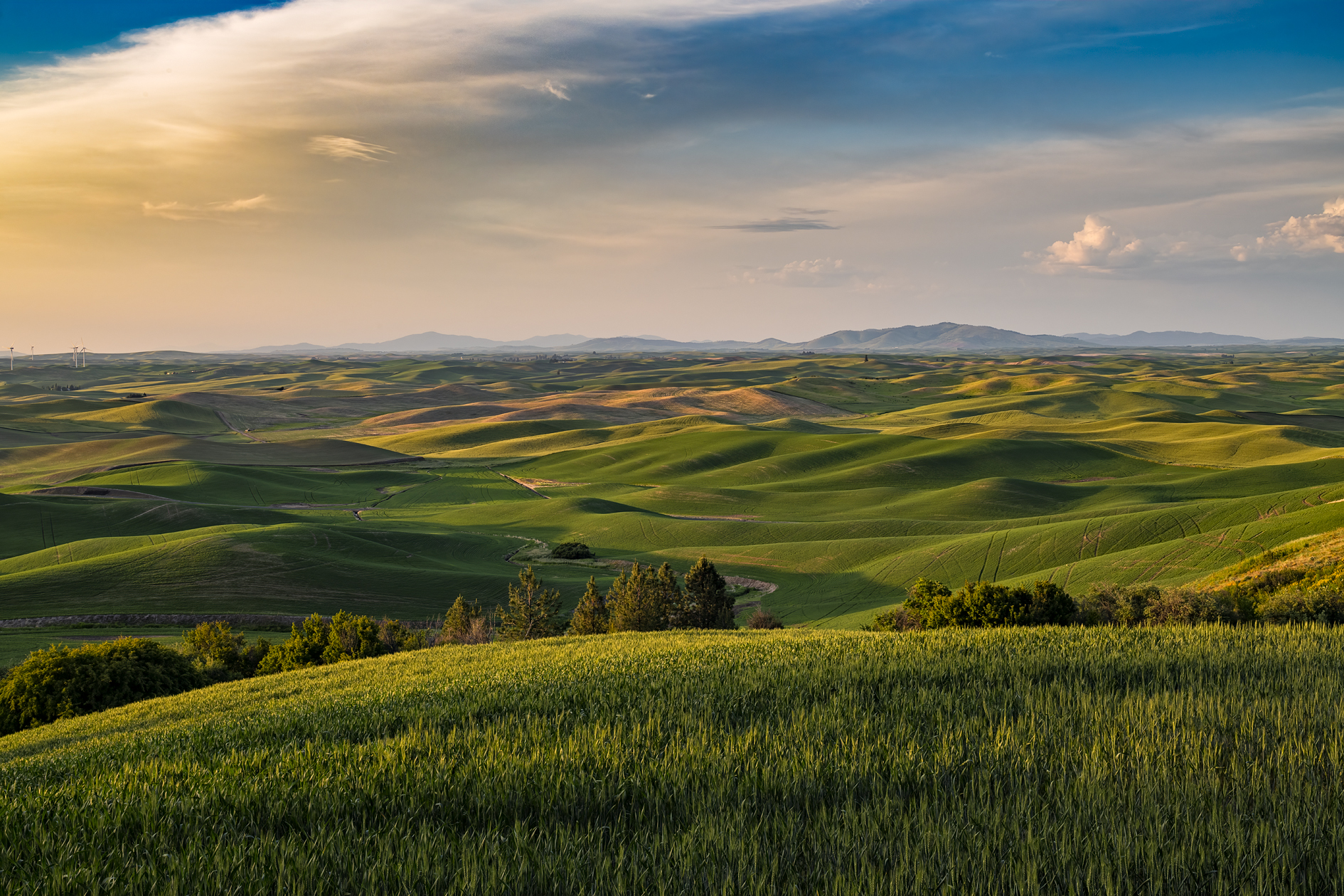Steptoe Butte Evening III