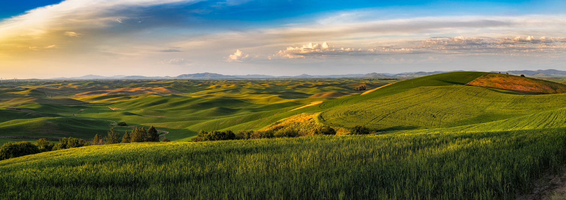 Steptoe Butte Evening IV