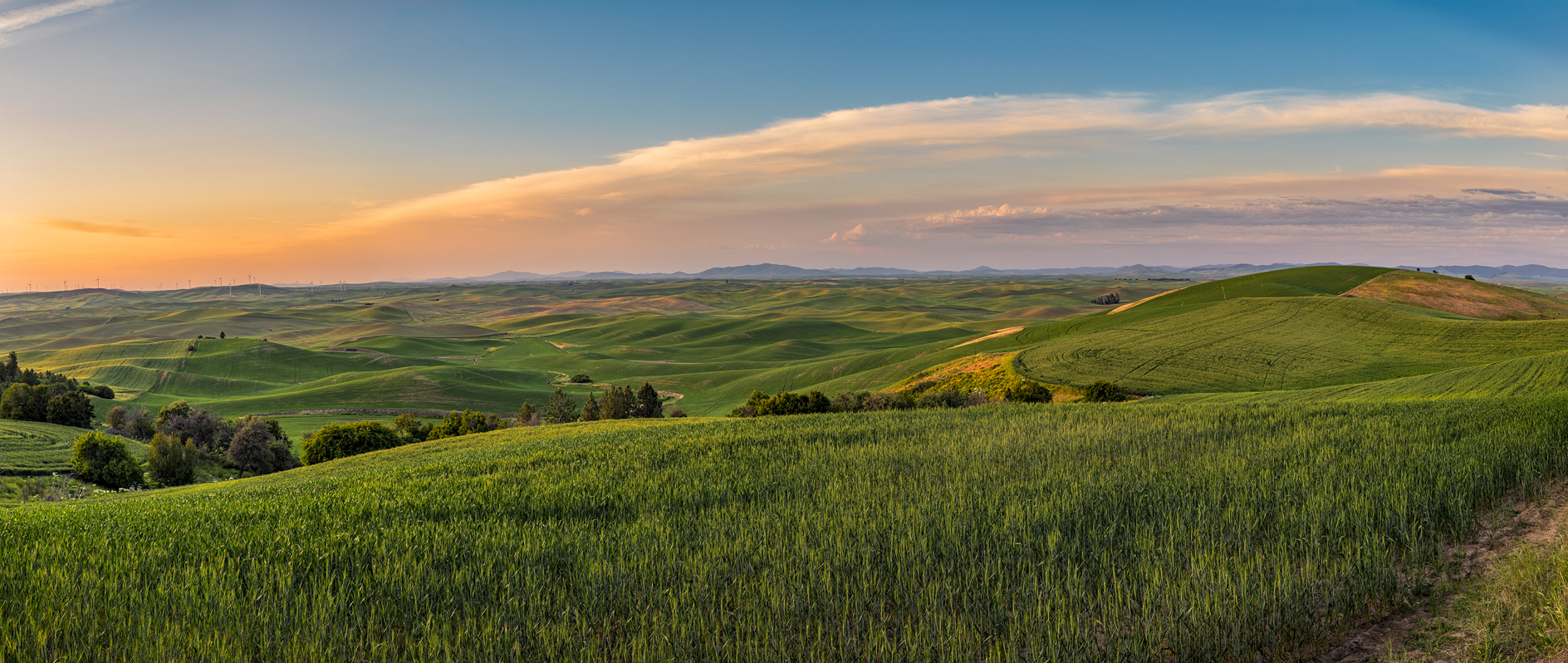 Steptoe Butte Evening V