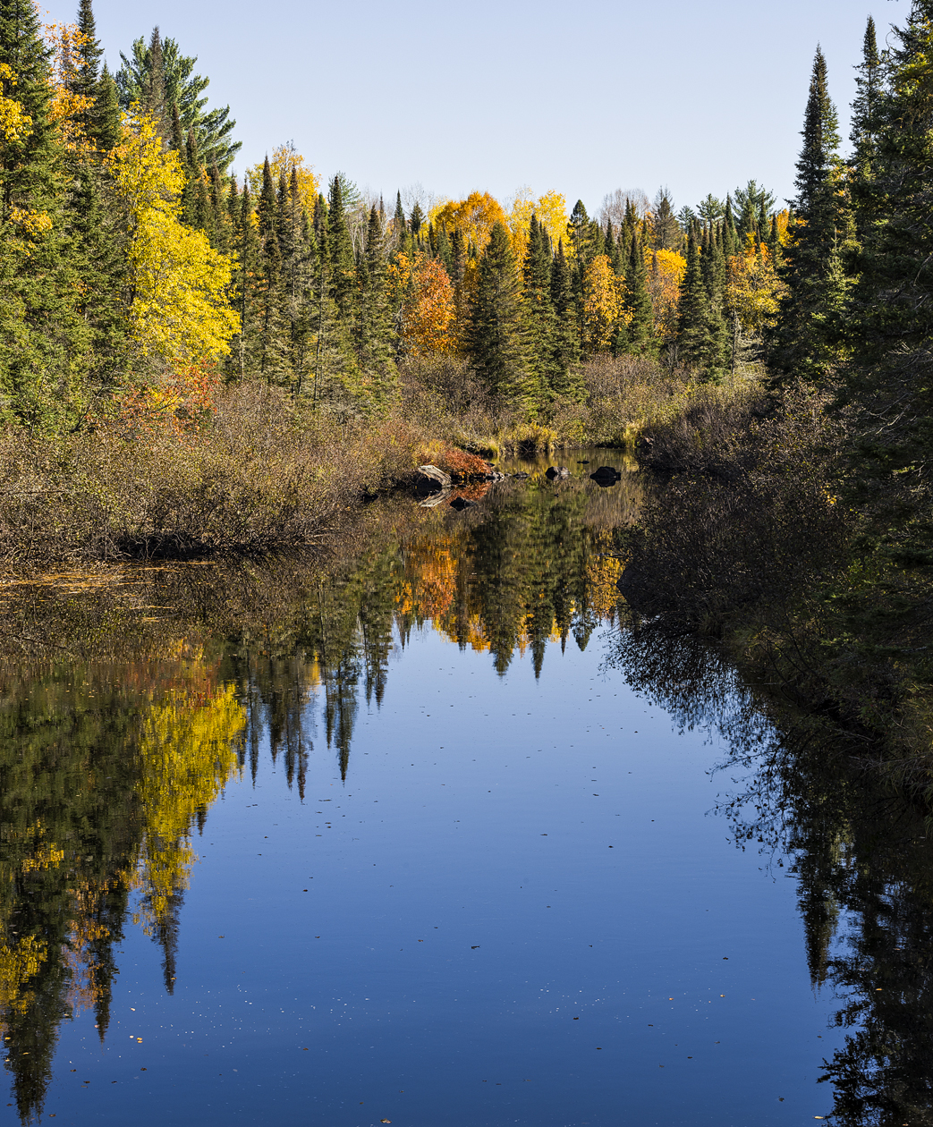 Streamside Reflections