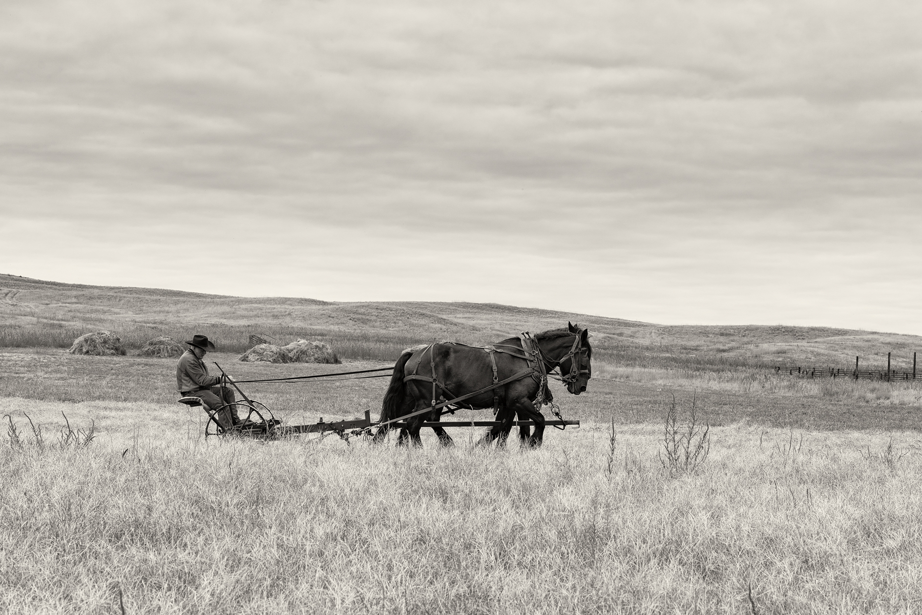 Summer in the Hayfield III