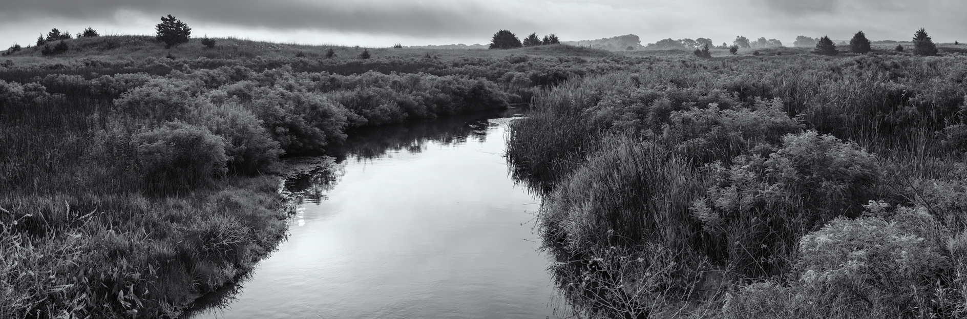Summer Morning Mist II