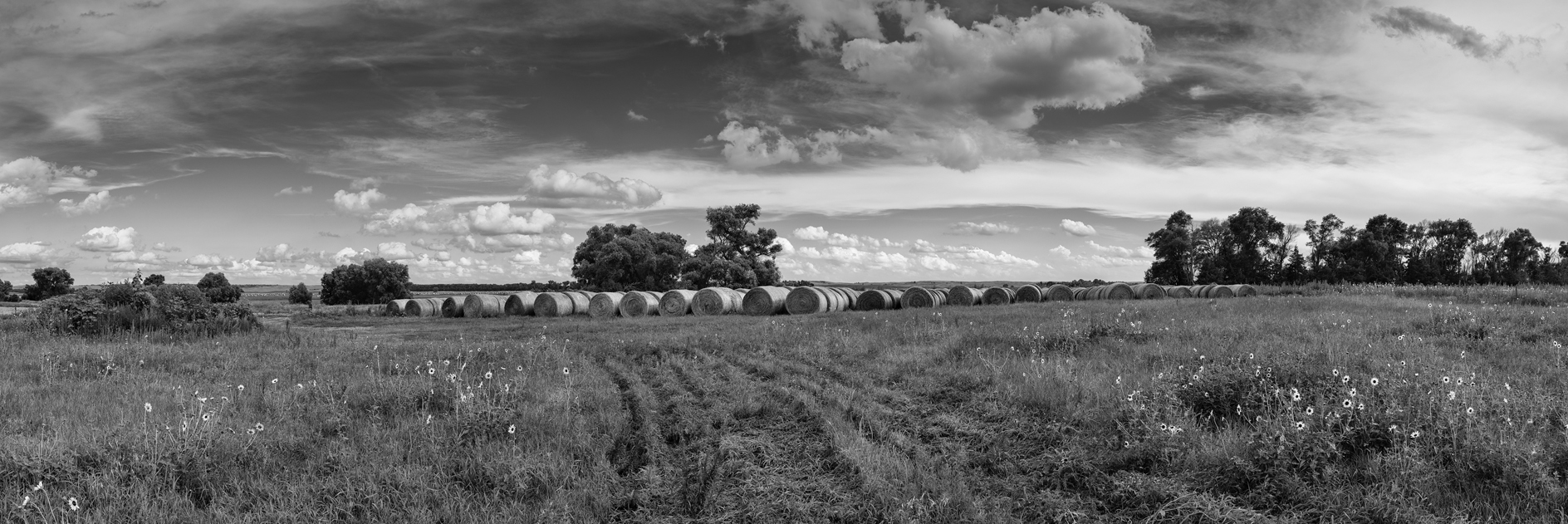 Summer on the Prairie