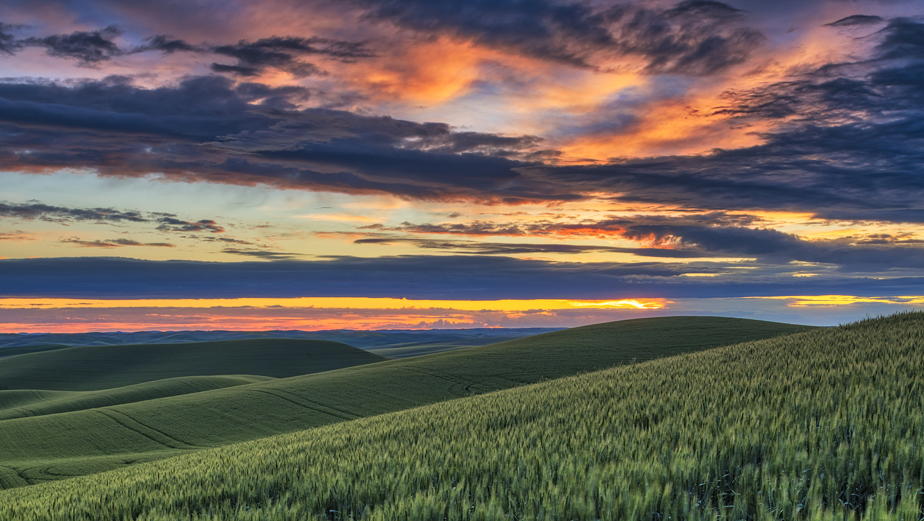 Sundown on the Palouse