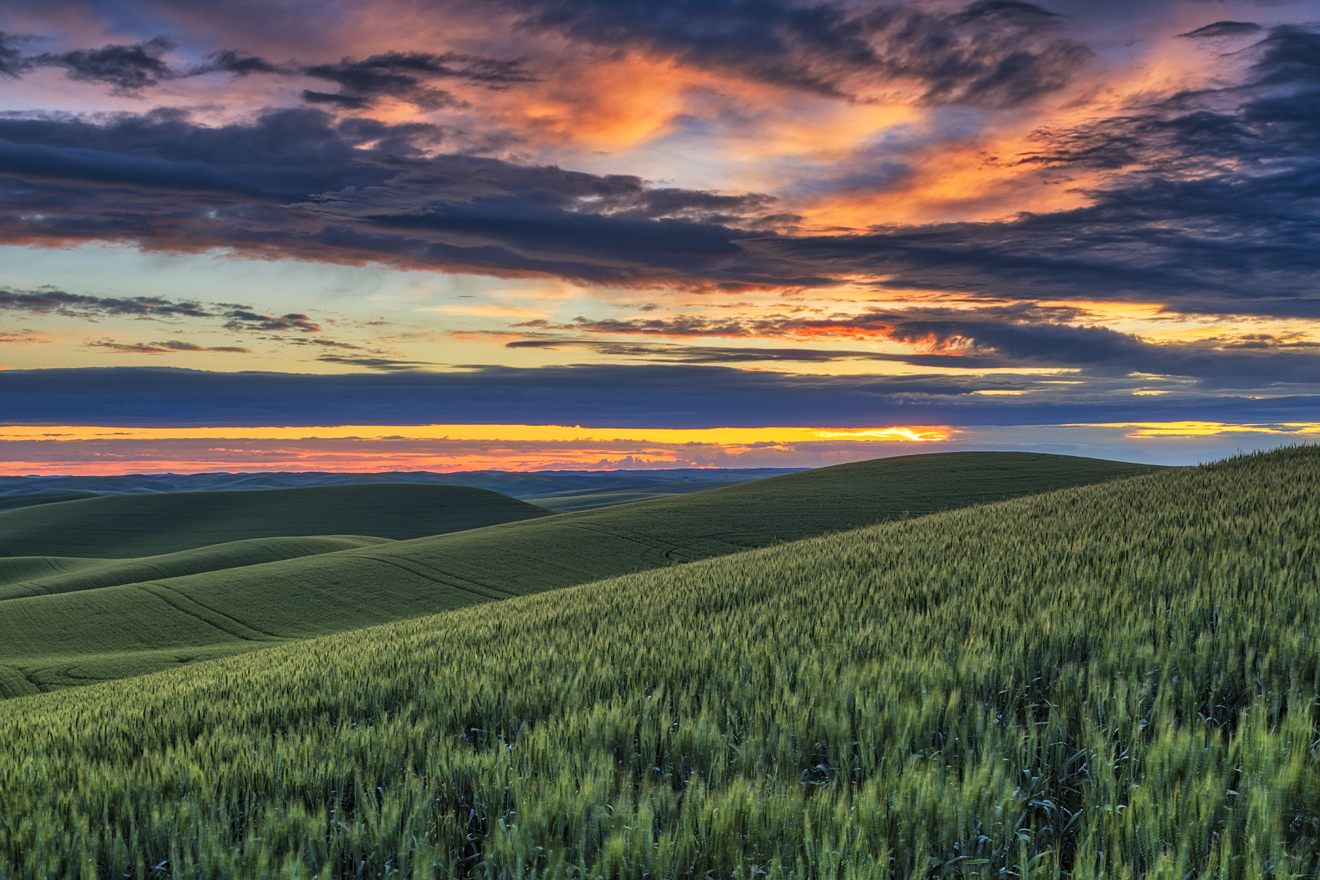 Sundown on the Palouse II