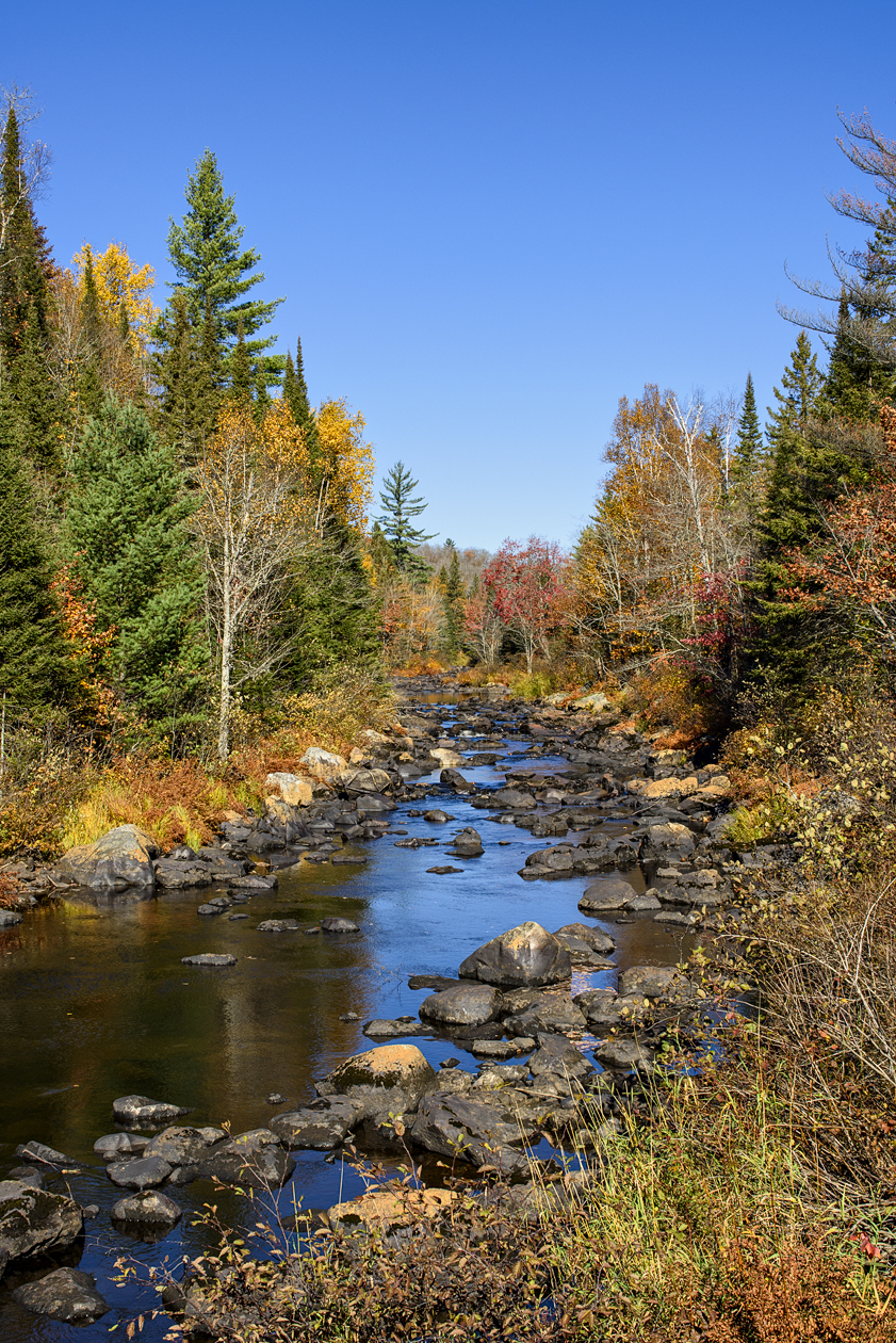 Sunny Days and Cool Nights