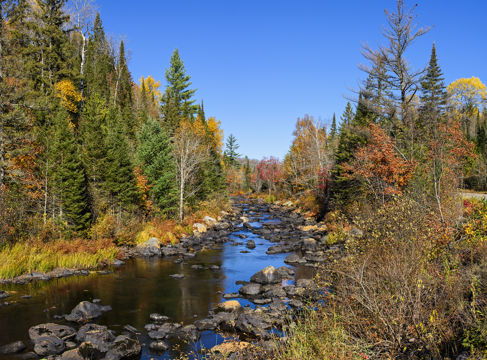 Sunny Days and Cool Nights II