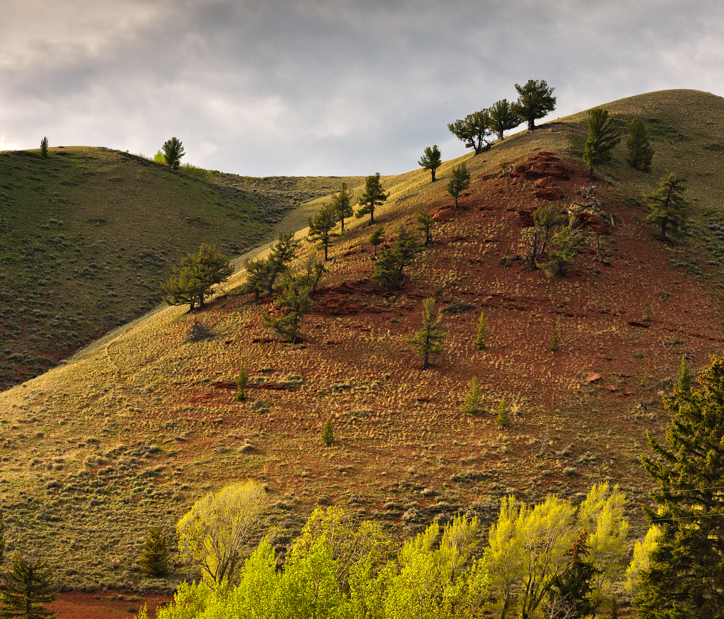 Sunny Side of the Hill