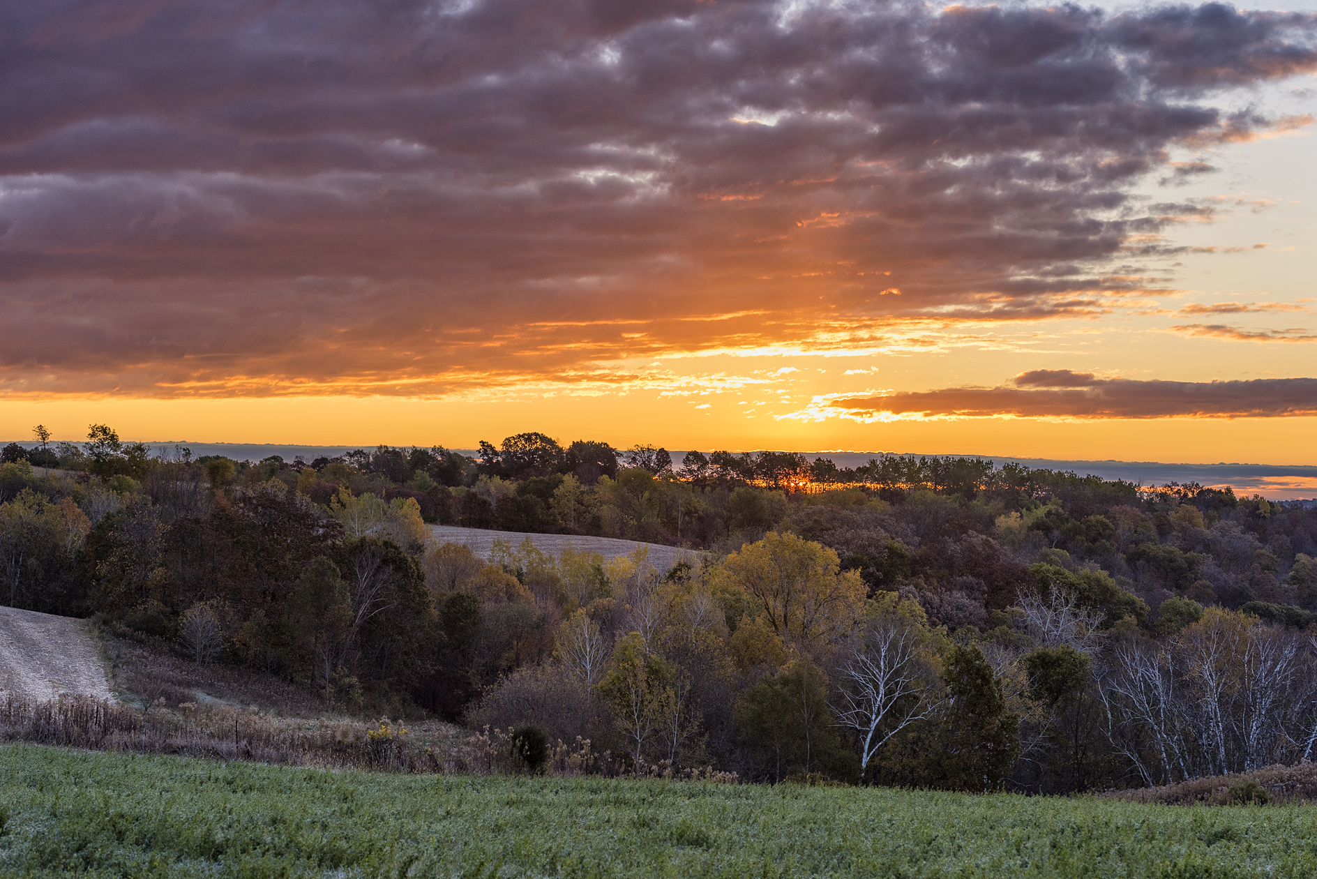 Sunrise at Vernon County