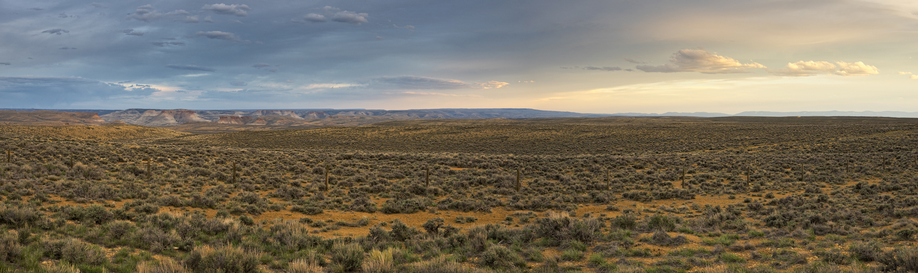 Sweetwater Evening II