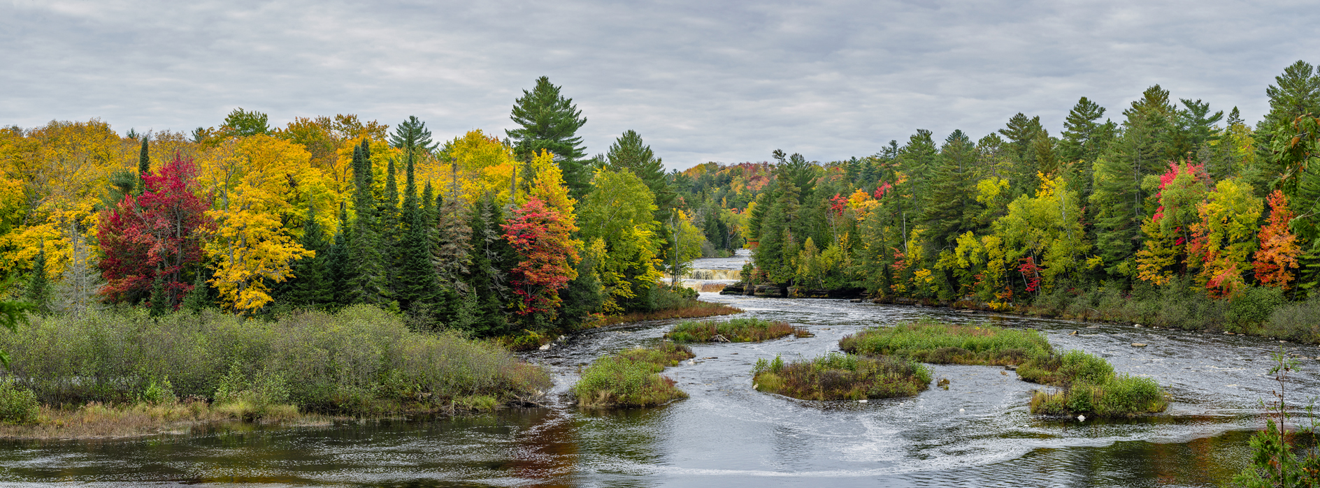 Tahquamenon River Morning