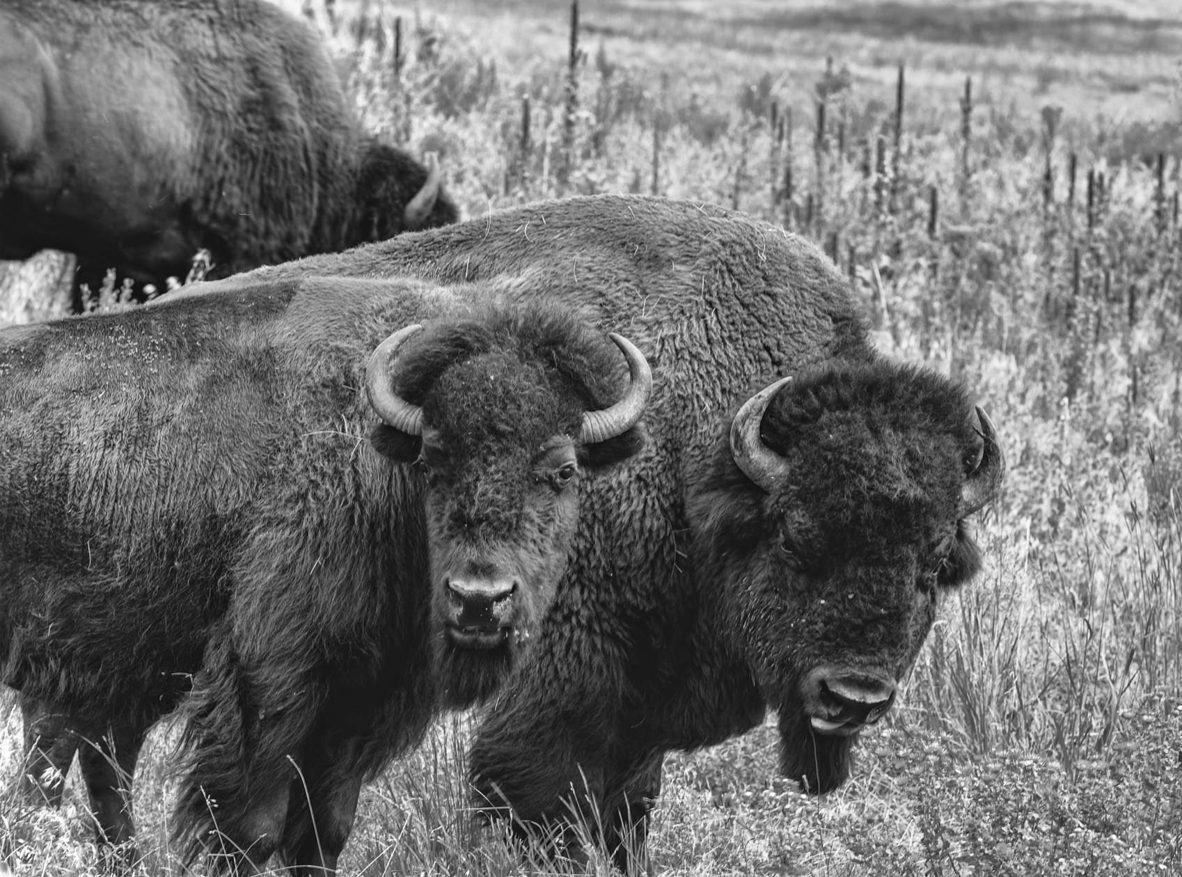 Taking a Lunch Break