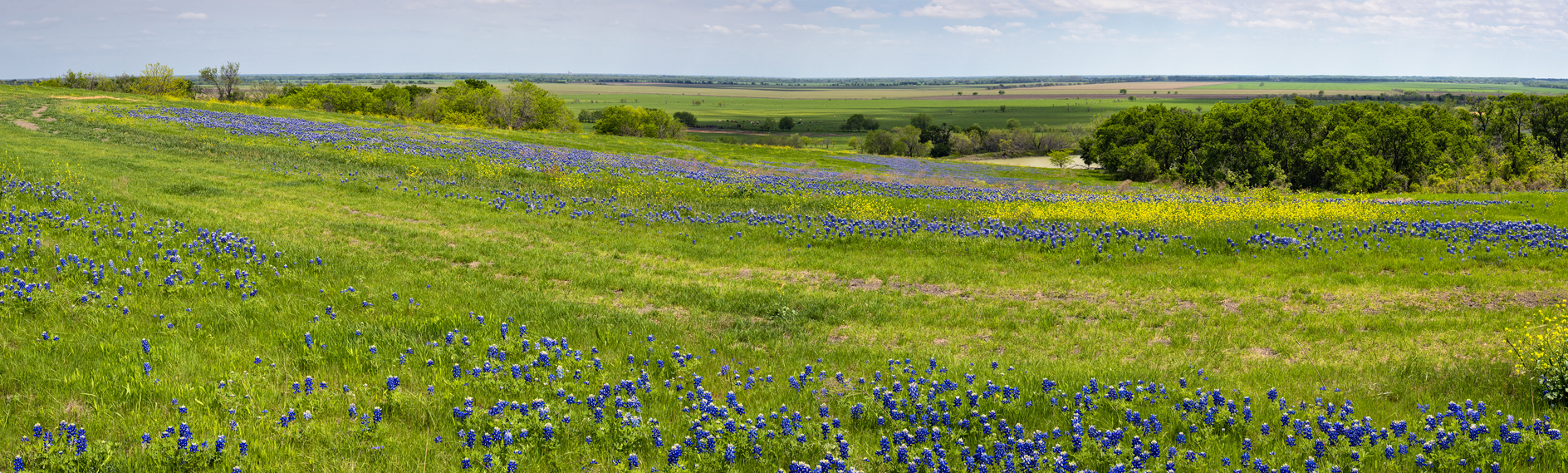 Taking a Spring Break