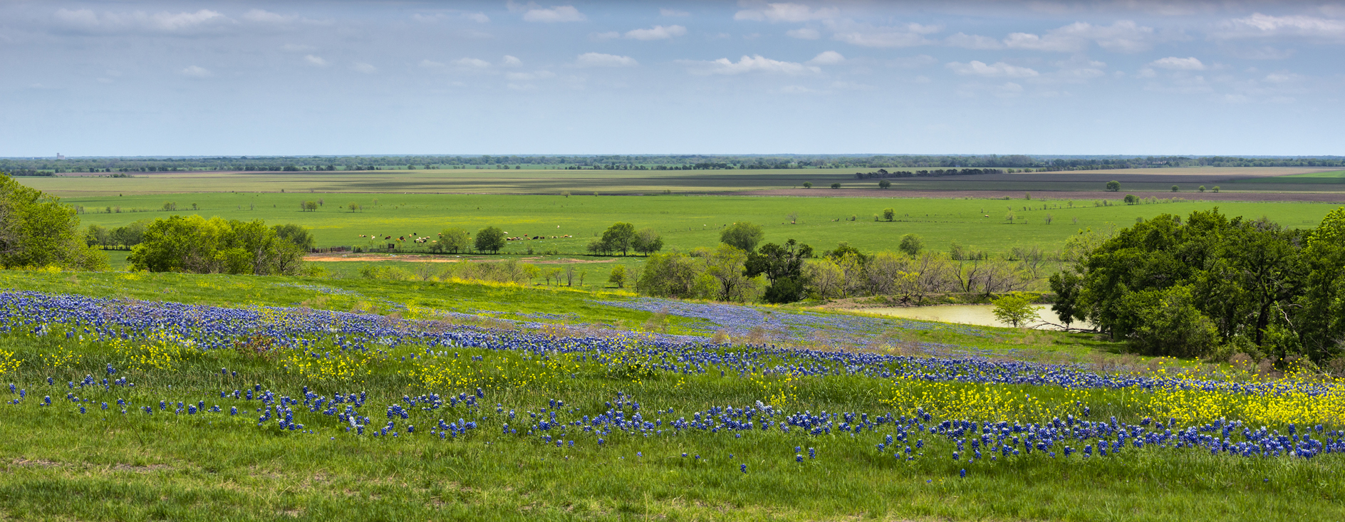 Taking a Spring Break II