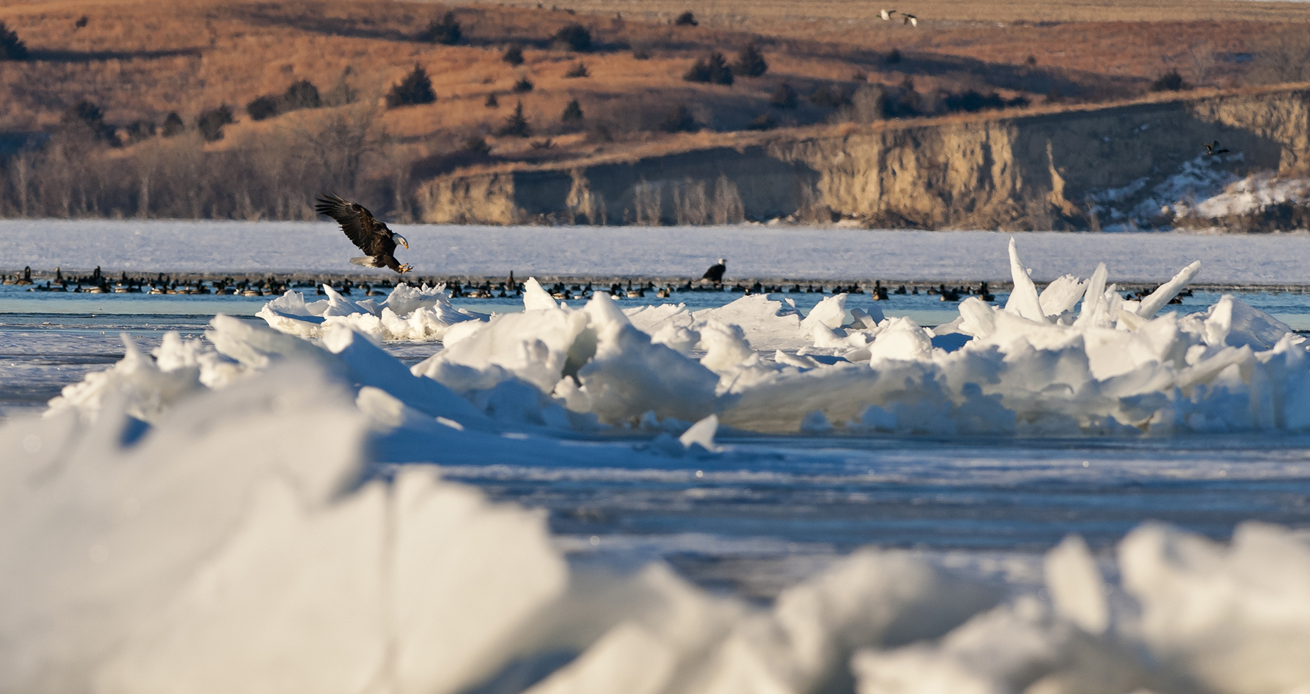 Taking the High Ground II