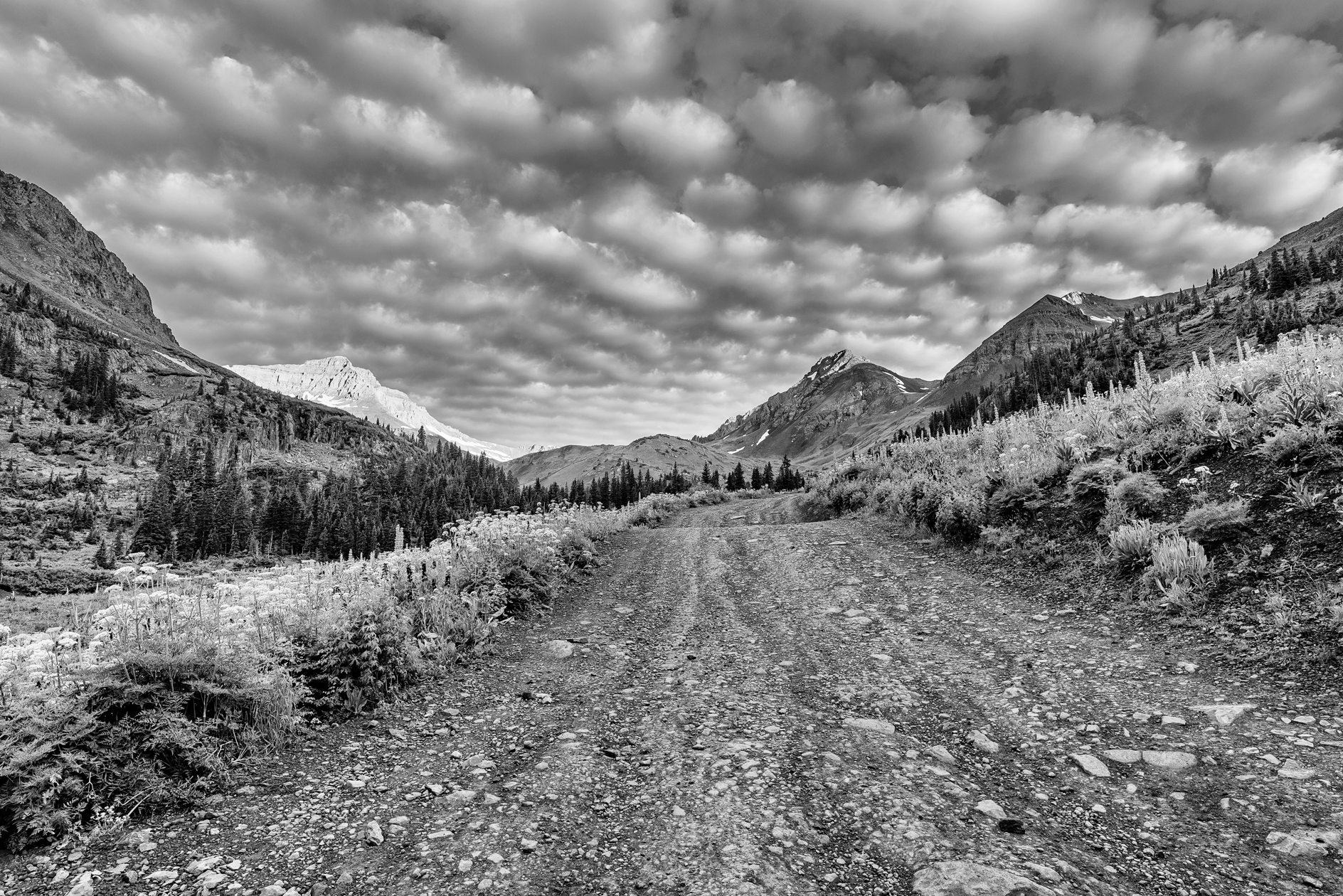 Taking the High Road