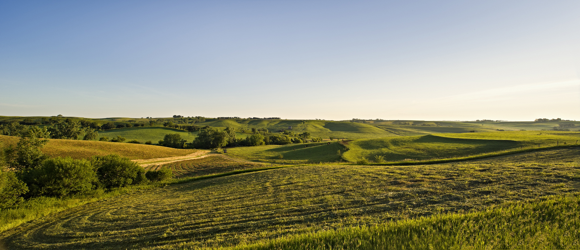 Terraces and Windrows