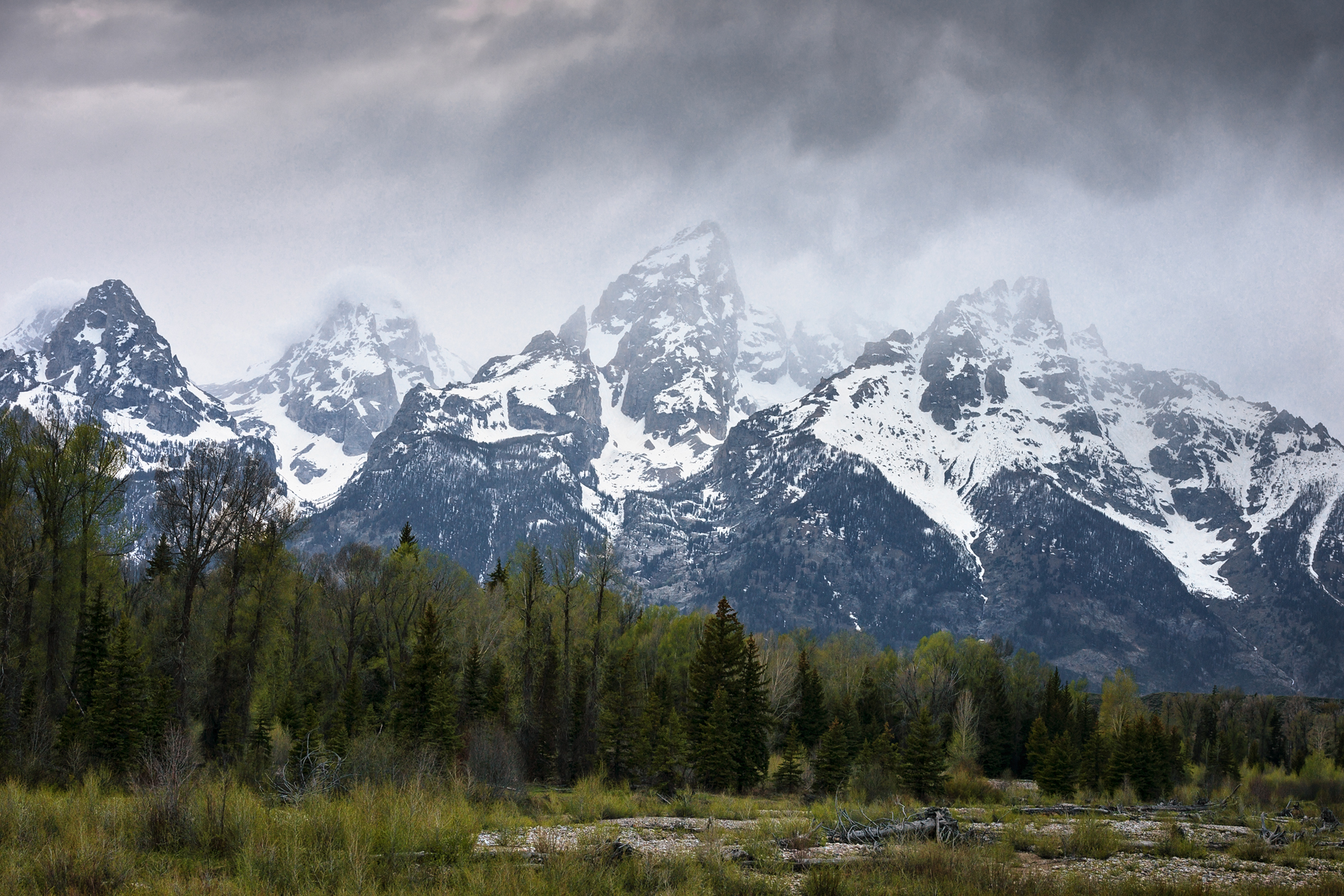 Teton Spring