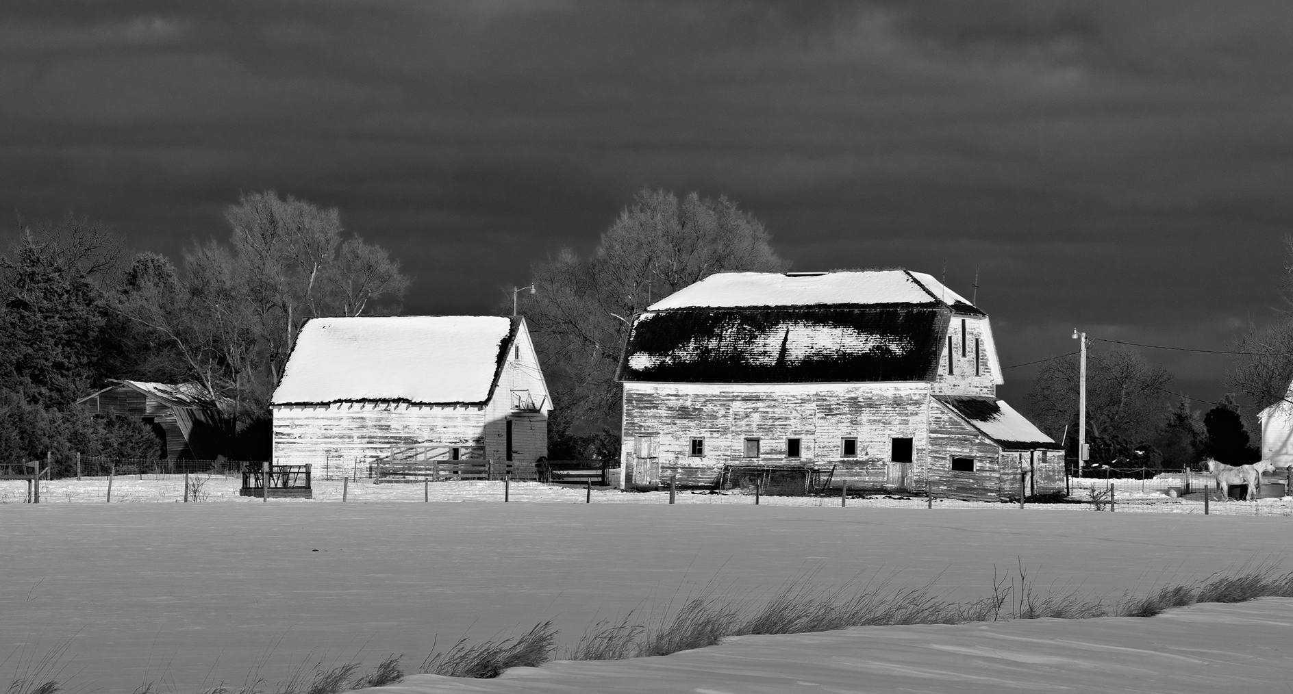 The Bright Side of Winter