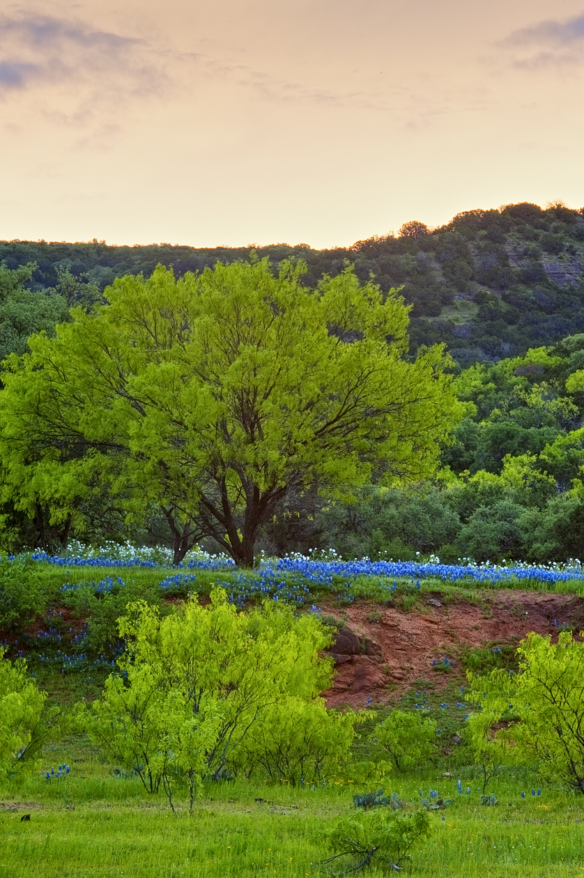 The Other Side of Sundown