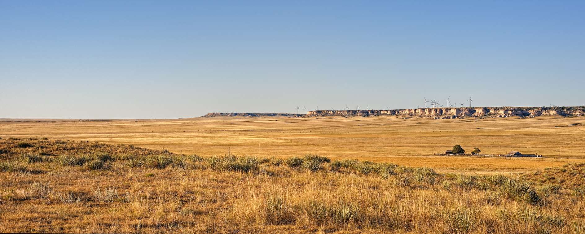 There Goes the Neighborhood