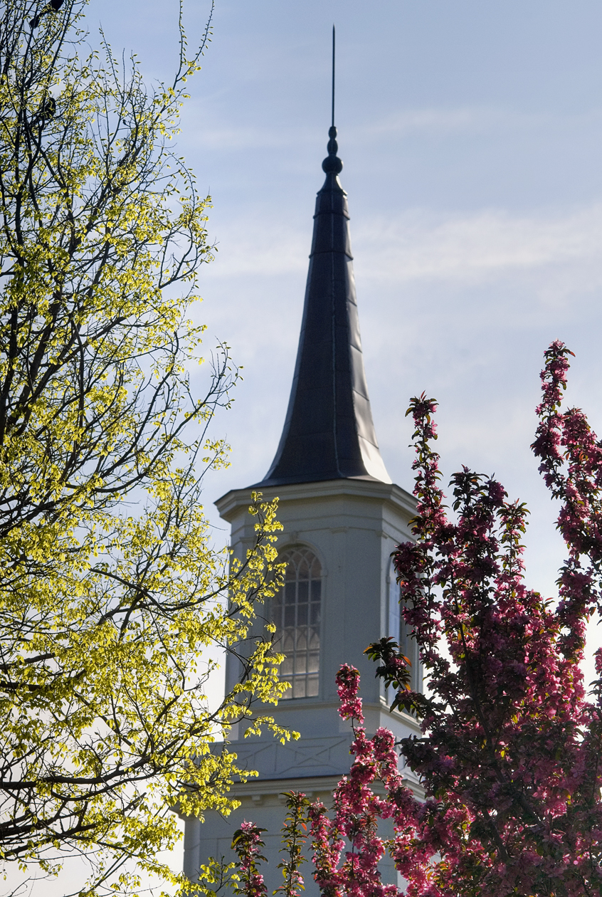 Things are Looking Up