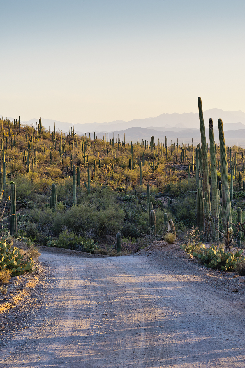 Threading the Needles