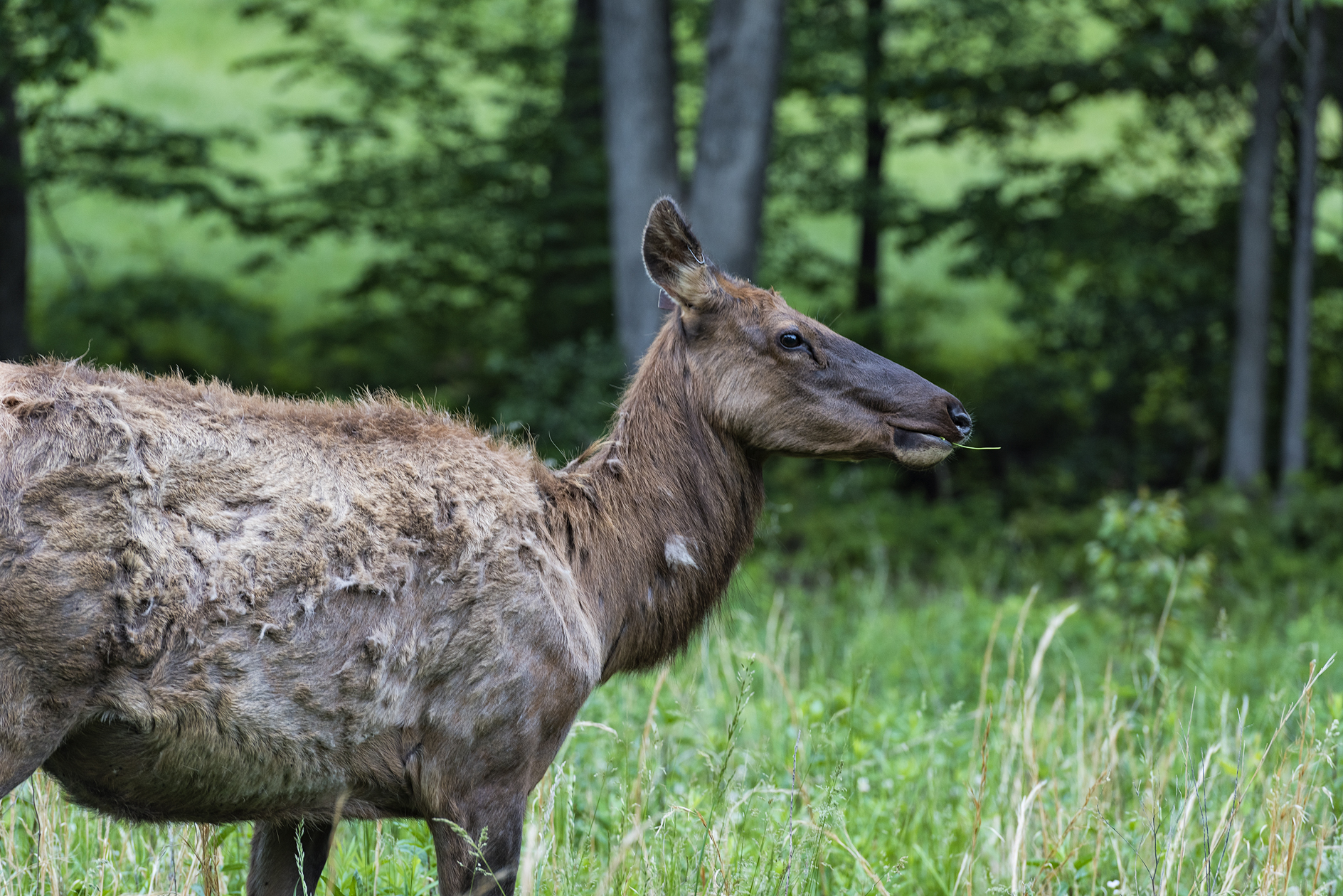 Time for a New Dress