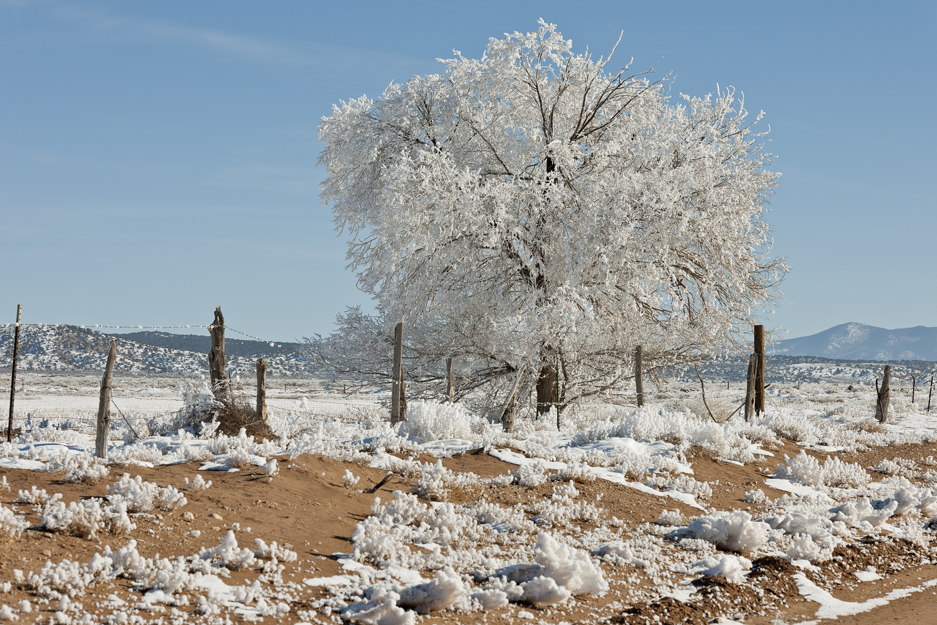 Times Square Alternative