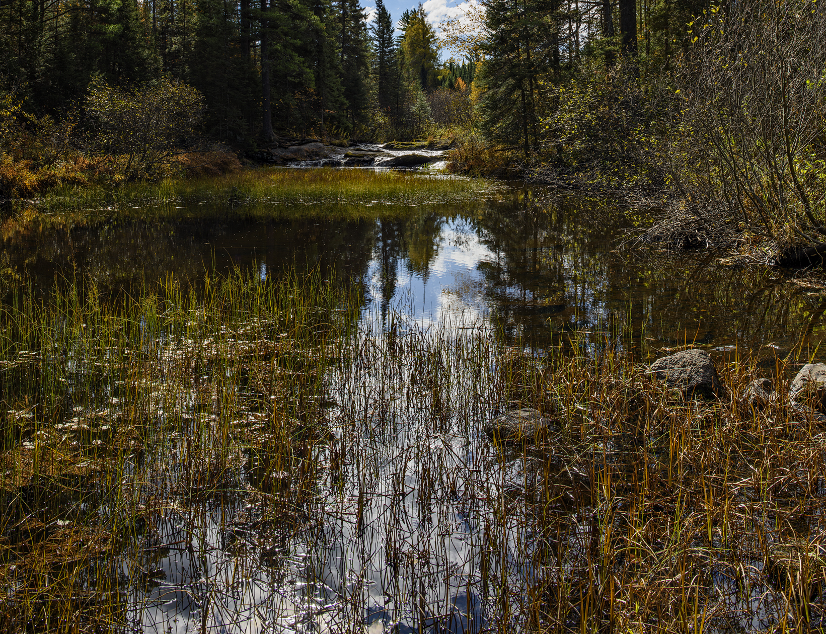 Tioga River Morning