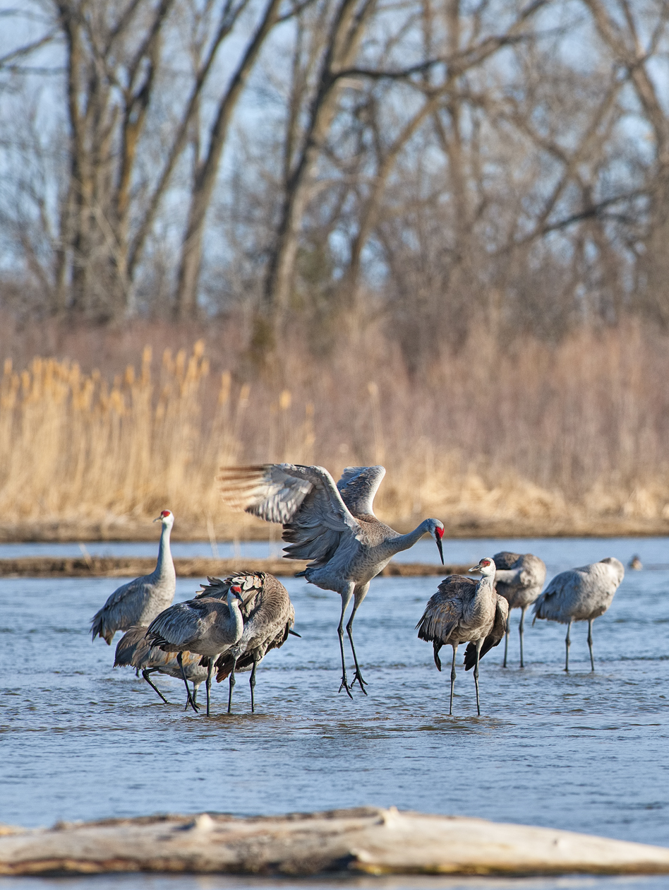 To a Different Drummer