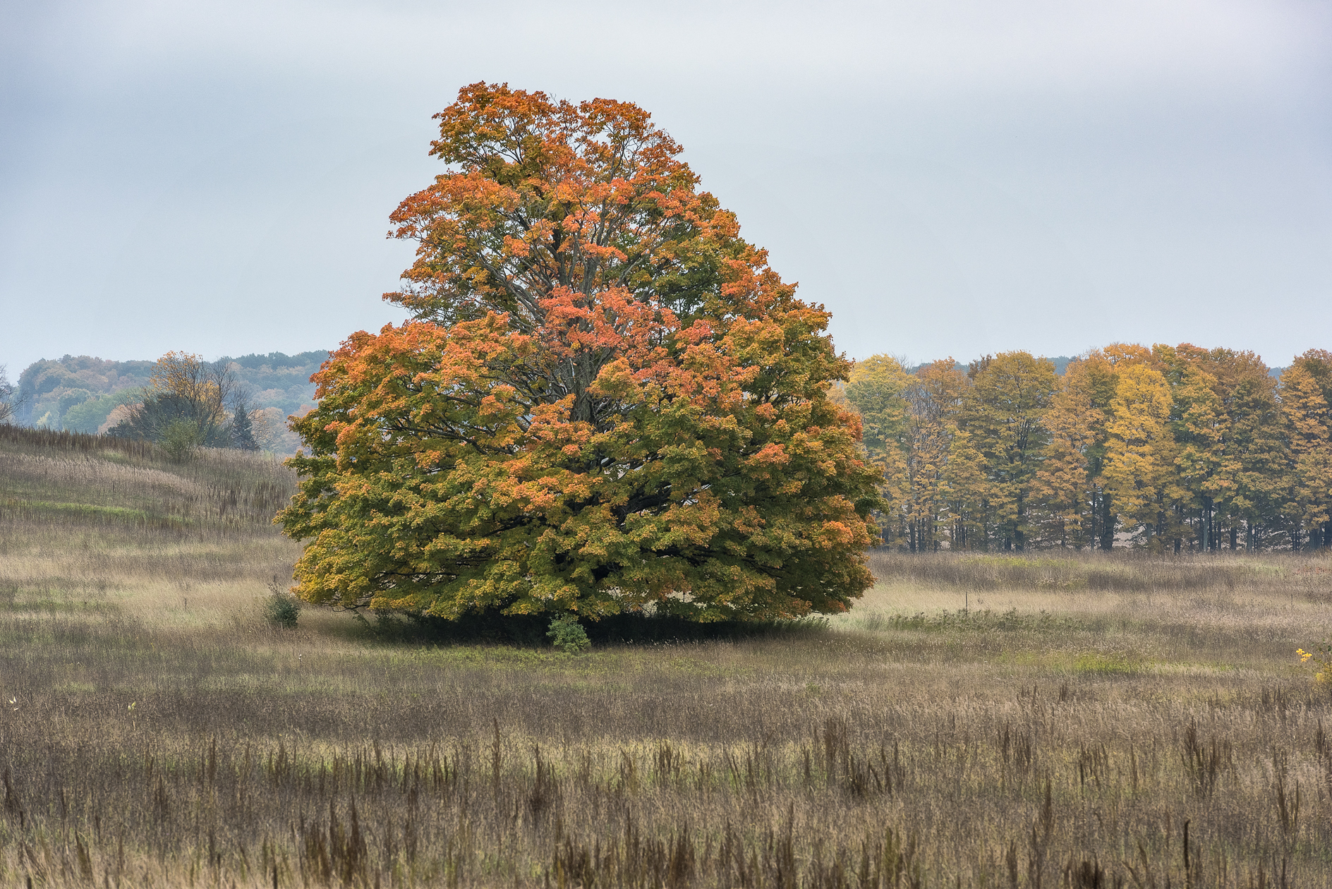 Top Down Approach II