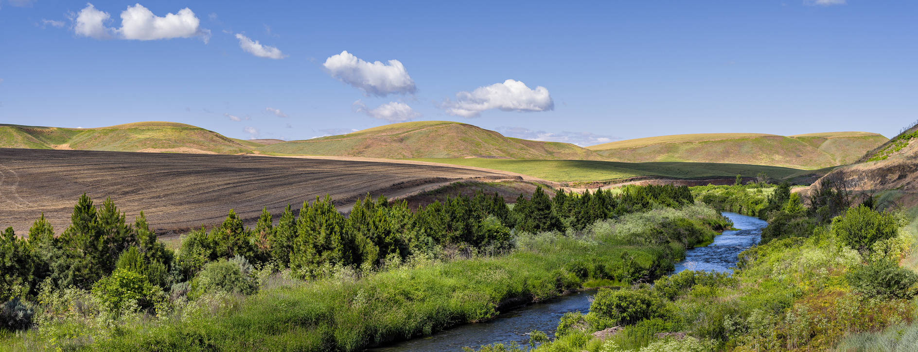 Touchet River Morning