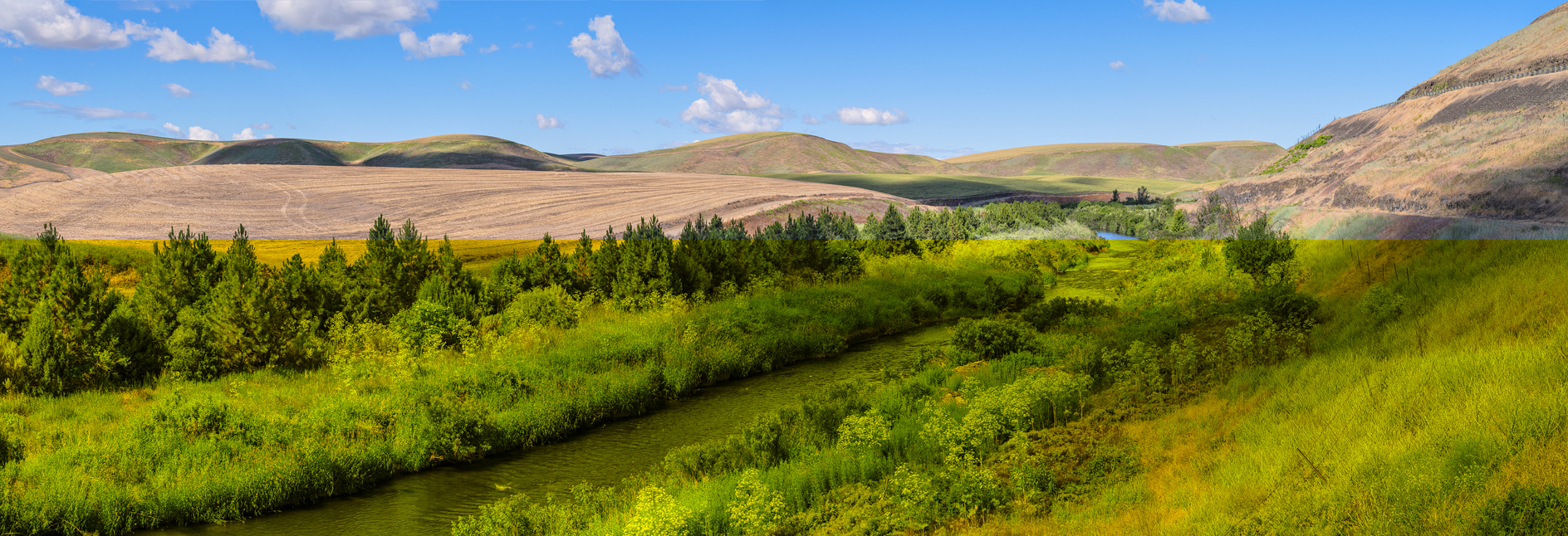 Touchet River Morning III