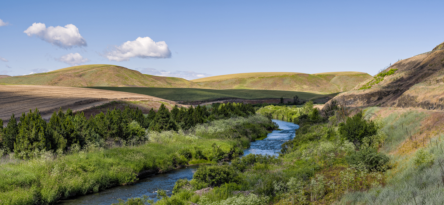 Touchet River Morning IV