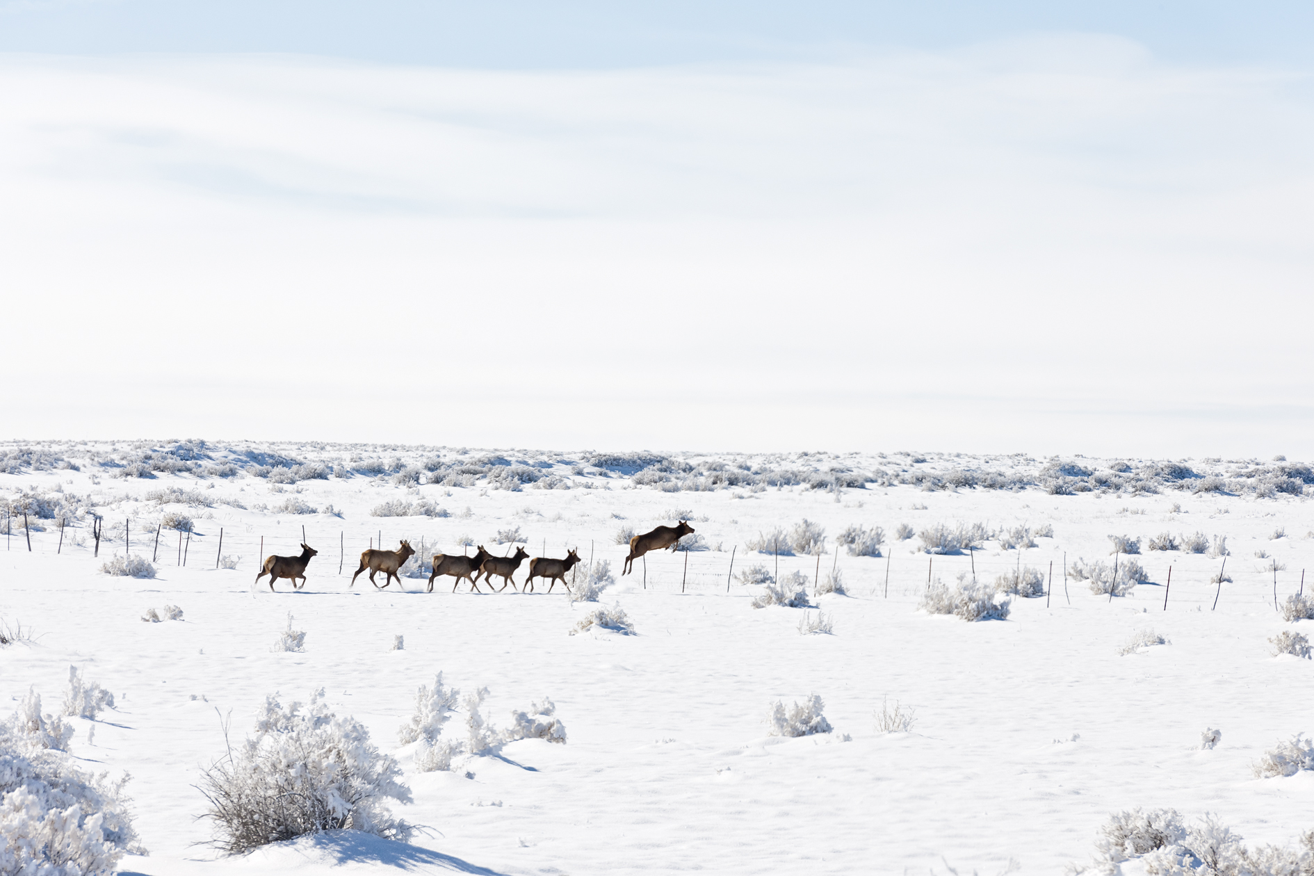 Track and Field Event