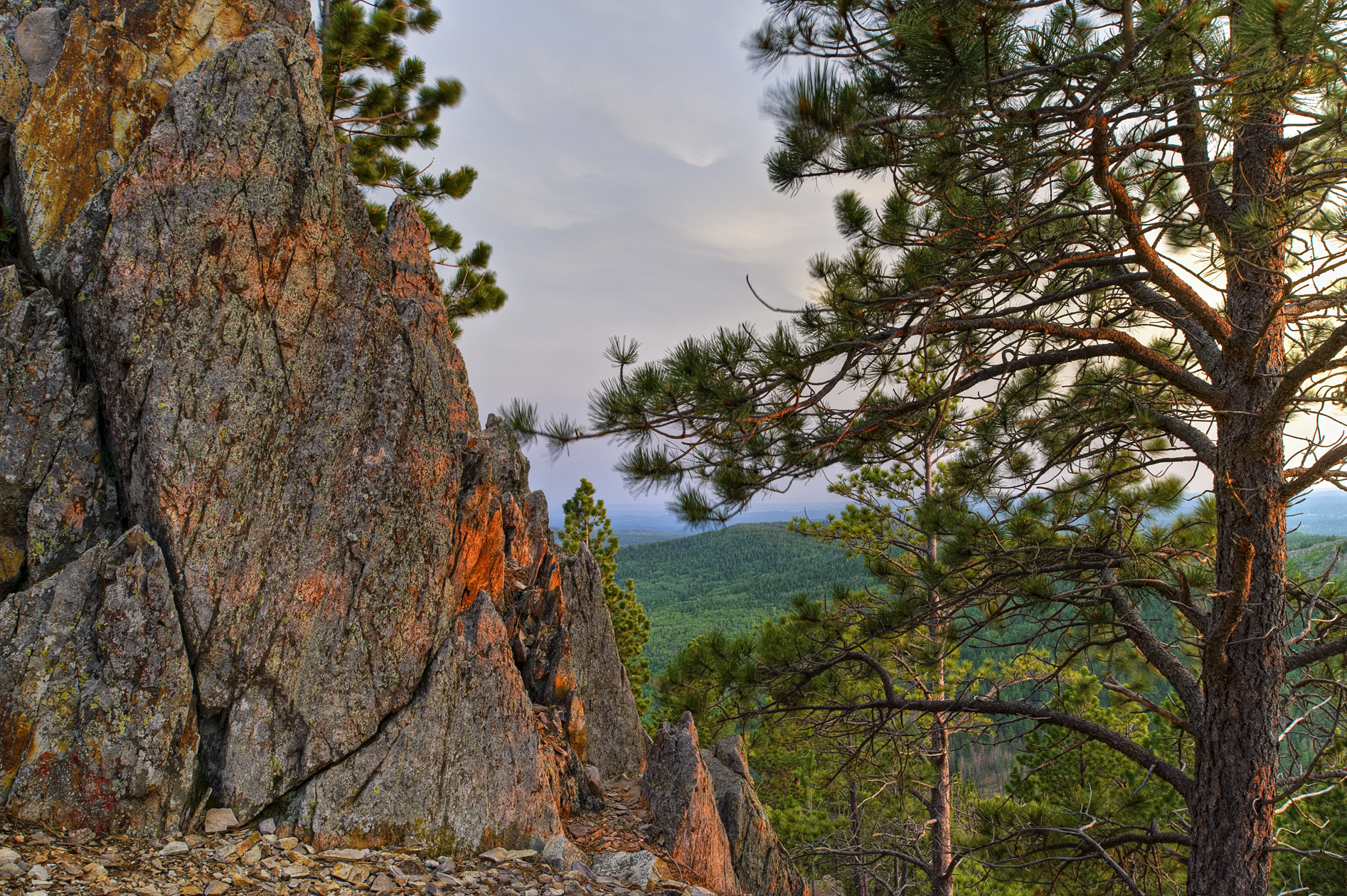 Treasuring the Highlights