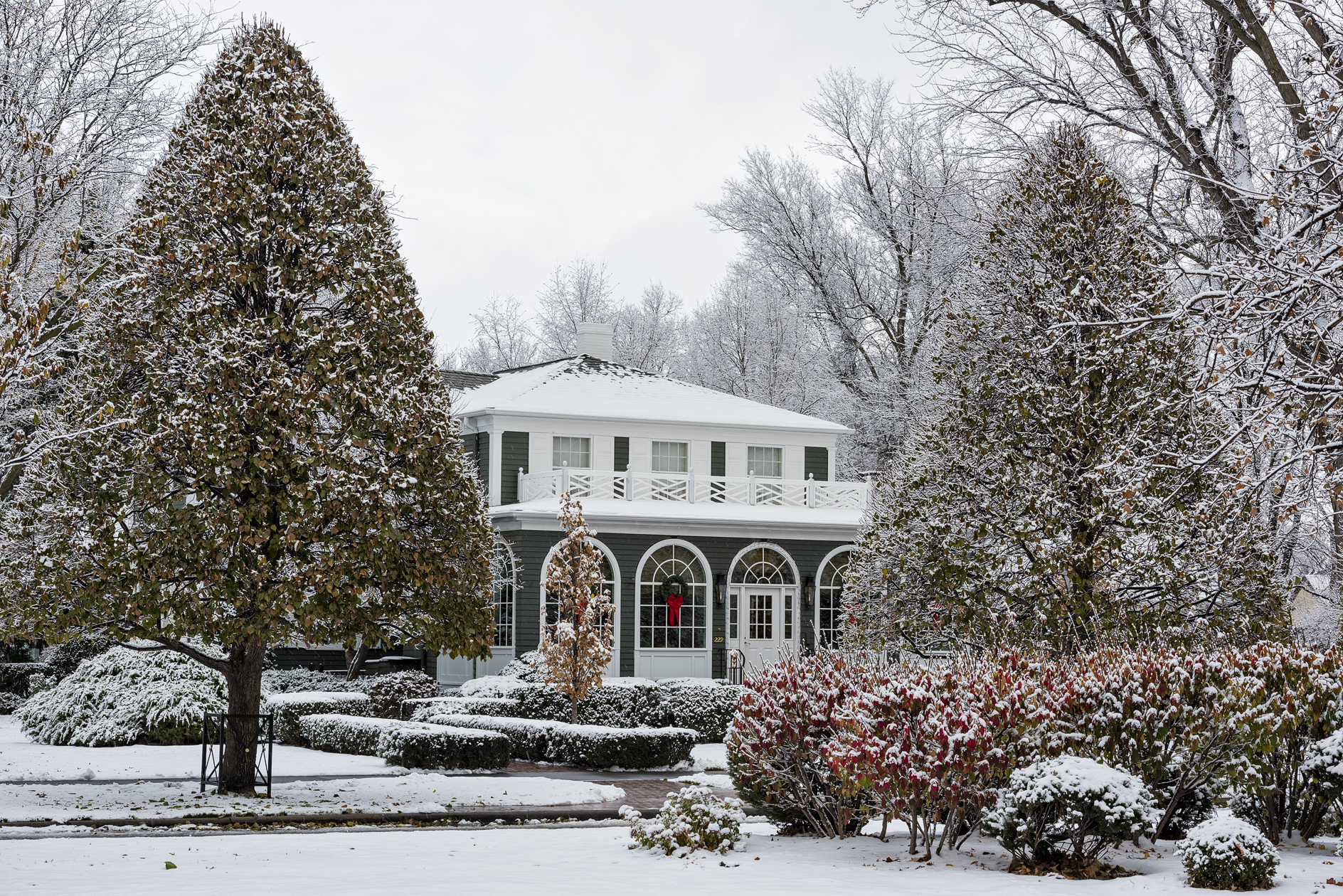 Tucked in for the Winter