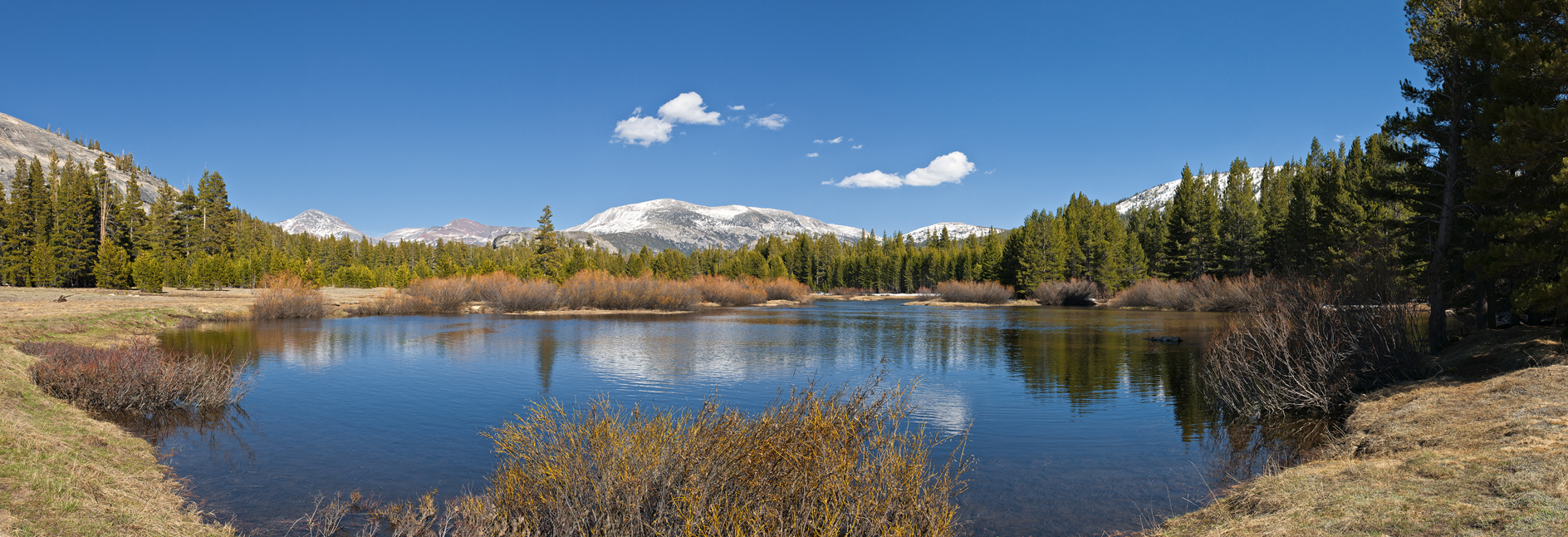 Tuolumne Meadows