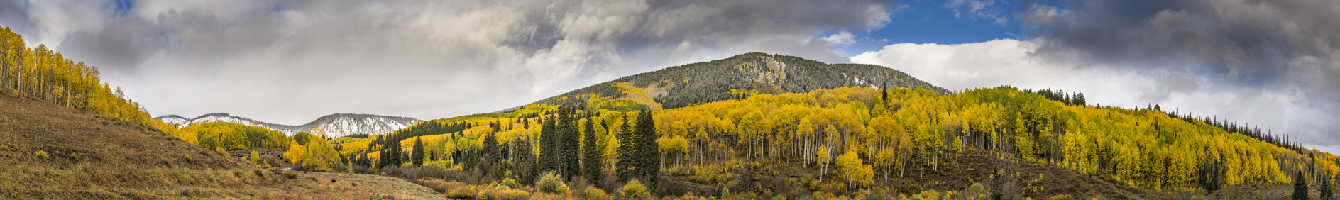 Turning Away from Summer II