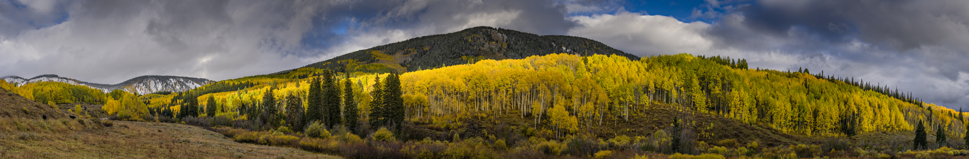 Turning Away from Summer III